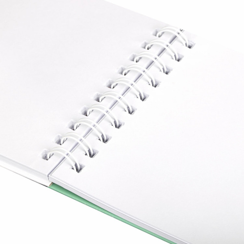 Скетчбук белая бумага  BRAUBERG ART DEBUT, 100 г/м2 142х212 мм, 80 л., гребень, твердая обложка фото 7