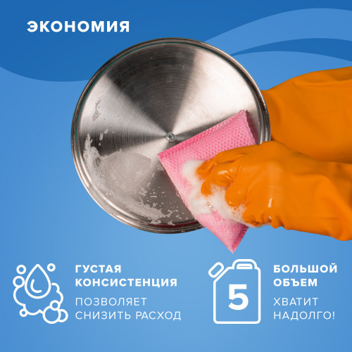 Моющее средство для посуды антибактериальное "Laima" Professional 5 л фото 8