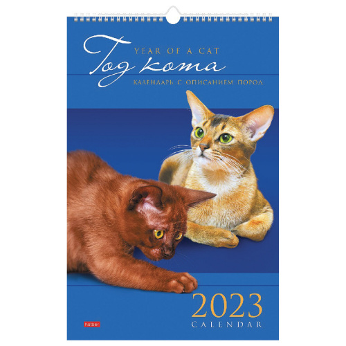 Календарь на гребне с ригелем 2023 г. HATBER "Кот", 30х45 см