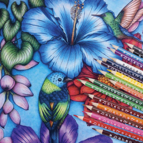 Карандаши цветные ЮНЛАНДИЯ "ЮНЛАНДИК-ДЕТЕКТИВ", 18 цветов, трехгранные, с раскраской фото 4