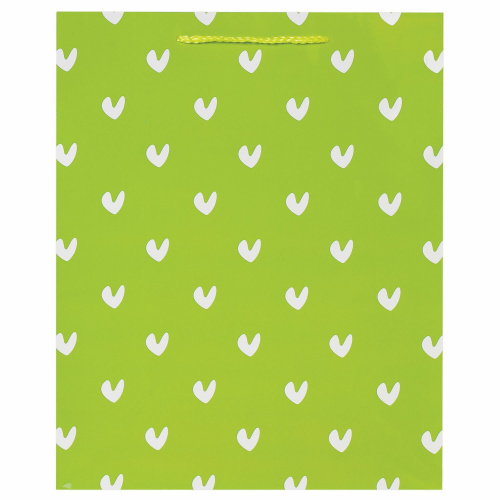 Пакет подарочный ЗОЛОТАЯ СКАЗКА "Зеленый в галочку", 26x12,7x32,4 см, ламинированный фото 3