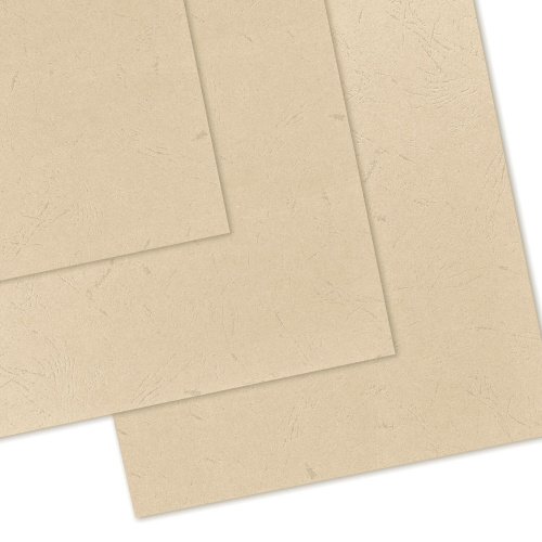 Обложки картонные для переплета BRAUBERG, А3, 100 шт., тиснение под кожу, 230 г/м2, слоновая кость фото 2