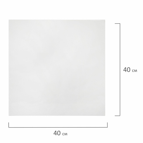 Холст на картоне BRAUBERG ART CLASSIC, 40х40 см, грунтованный, хлопок, мелкое зерно фото 5