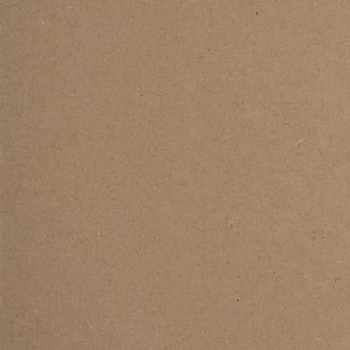 Подвесные папки BRAUBERG, А4, 406х245 мм, до 80 листов, 10 шт., картон фото 2