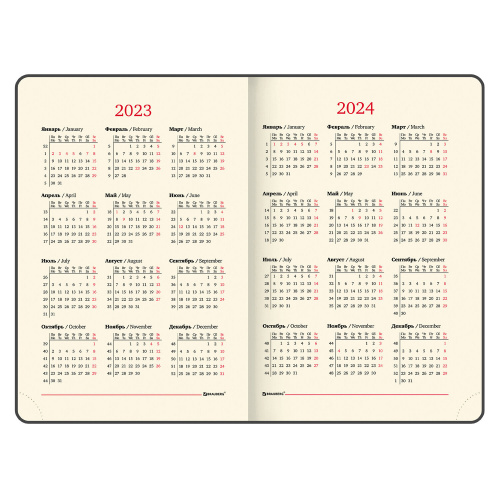 Ежедневник датированный 2023 BRAUBERG "Iguana", А5, 138x213 мм, под кожу, коричневый фото 6