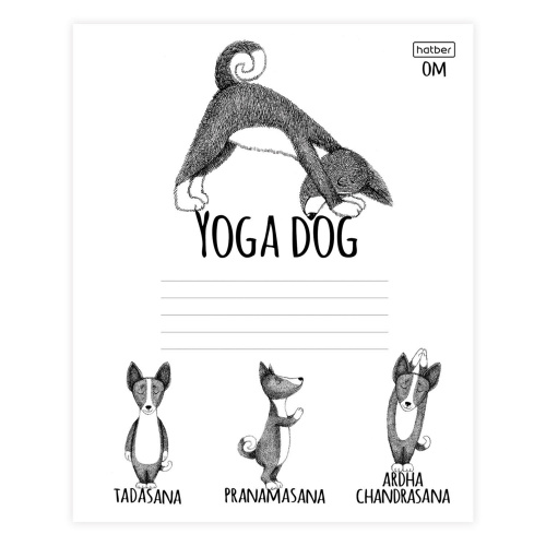 Тетрадь HATBER "Animals Yoga", 24л., клетка, обложка картон фото 8