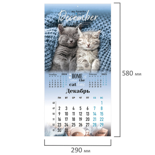 Календарь настенный перекидной на 2024 г., BRAUBERG, 12 листов, 29х29 см, "Милые котики", 115321 фото 9