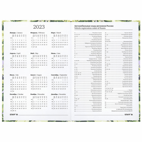 Ежедневник датированный на 2023 STAFF "Avocado", 145х215 мм, А5, ламинированная обложка фото 3