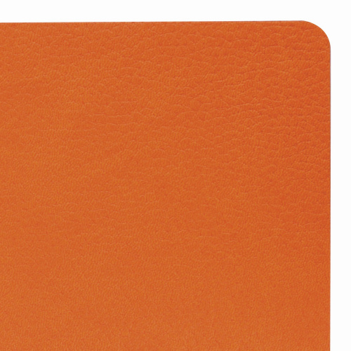 Ежедневник недатированный BRAUBERG, А5, 138х213 мм, кожзам, гибкий, 160 л., оранжевый фото 9