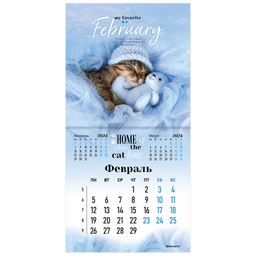 Календарь настенный перекидной на 2024 г., BRAUBERG, 12 листов, 29х29 см, "Милые котики", 115321 фото 6
