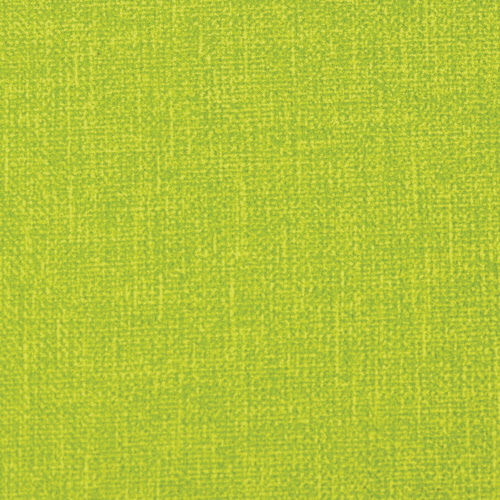 Ежедневник недатированный BRAUBERG, А5, 138x213 мм, под кожу, резинка, 136 л., зеленый фото 9
