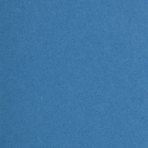 Подвесные папки BRAUBERG, А4, 406х245 мм, до 80 листов, 10 шт., синие, картон фото 3