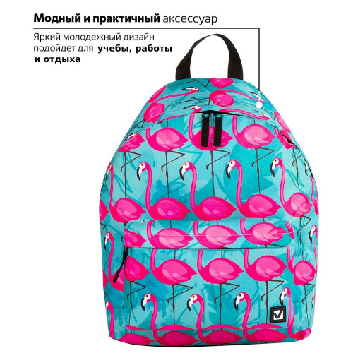 Рюкзак BRAUBERG Фламинго, 20 литров, 41х32х14 см, универсальный, сити-формат фото 5