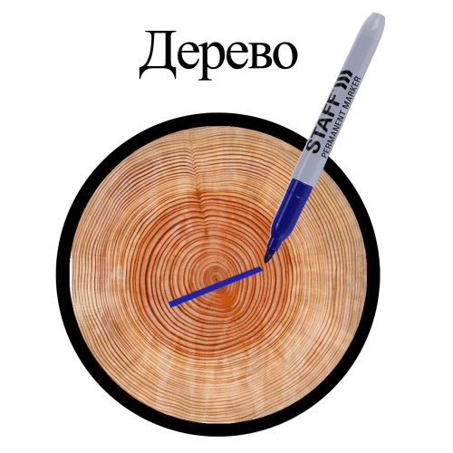 Маркер перманентный (нестираемый) STAFF "EVERYDAY", эргономичный корпус, круглый наконечник, синий фото 4