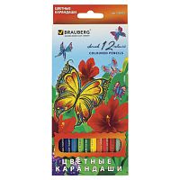 Карандаши цветные BRAUBERG "Wonderful butterfly", 12 цветов, заточенные, картонная упаковка