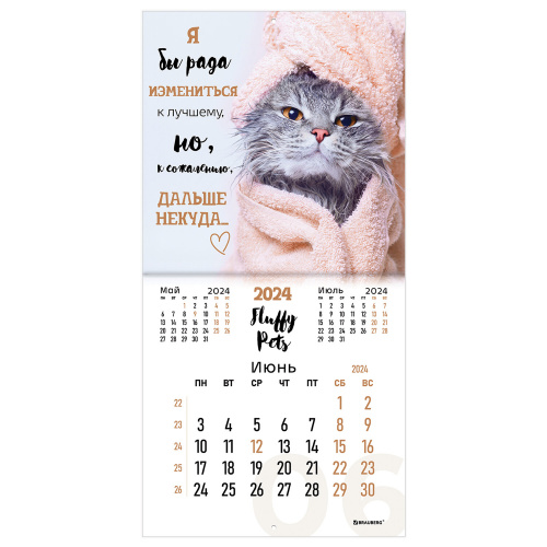 Календарь настенный перекидной на 2024 г., BRAUBERG, 12 листов, 29х29 см, "Кошечки", 115315 фото 3