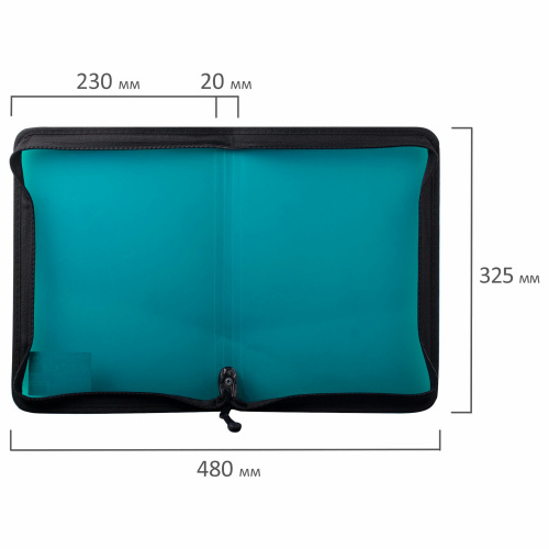 Папка на молнии пластиковая BRAUBERG "Income", А4, 325х230 мм, тонированная, 3 цвета ассорти фото 5