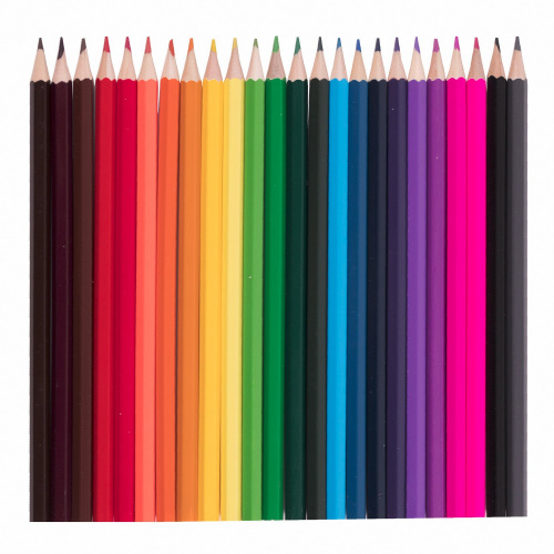 Карандаши цветные ПИФАГОР "Веселая такса", 24 цвета, классические, заточенные фото 3