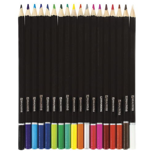 Карандаши цветные BRAUBERG "Artist line", 18 цветов, черный корпус, заточенные, высшее качество фото 2