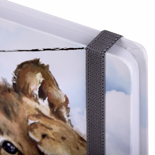 Скетчбук BRAUBERG ART DEBUT "Львёнок", белая бумага, 145х203 мм, 80 л., резинка, твердый фото 6