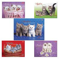 Альбом для рисования HATBER "Милые котята", А4, 24 л., 205х300 мм, спираль, обложка картон