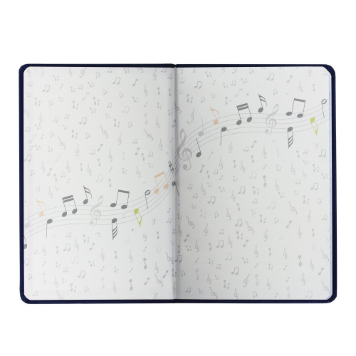 Дневник для музыкальной школы BRAUBERG, 48 л., обложка кожзам, фольга, справочный материал, черный фото 3