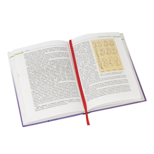 Закладки-ляссе ПИФАГОР "Радуга" для книг, А5, длина 28 см, клейкий край, 4 ленты фото 8