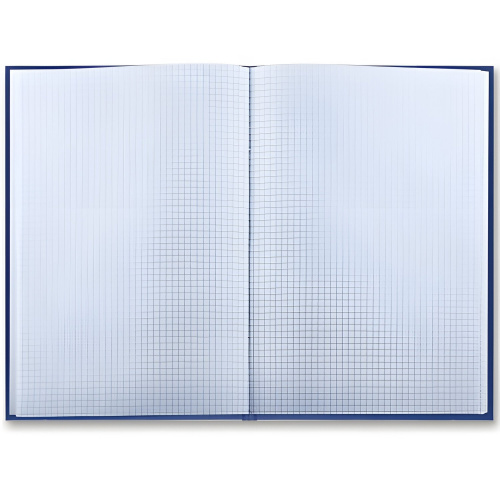 Книга учета BRAUBERG, 144 л., клетка, твердая, бумвинил, блок офсет, наклейка, синий фото 2