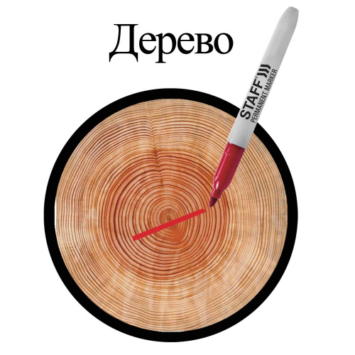 Маркер перманентный (нестираемый) STAFF "EVERYDAY", эргономичный корпус, круглый наконечник, красный фото 3