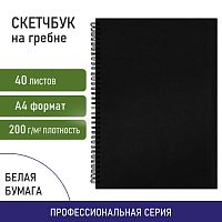 Скетчбук BRAUBERG, белая бумага 160г/м2, 210х297мм, 40л, гребень,твёрдая обложка черная