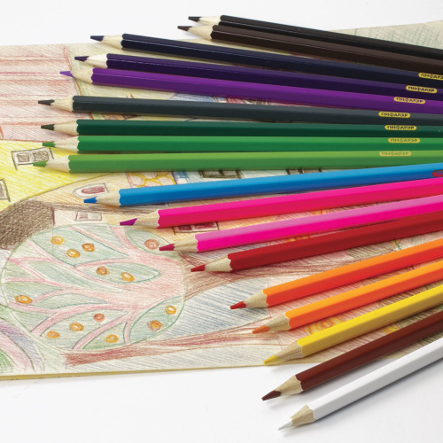 Карандаши цветные ПИФАГОР, 18 цветов, классические, заточенные, картонная упаковка фото 6