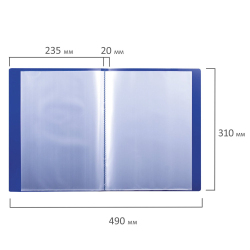 Папка BRAUBERG, 30 вкладышей,  0,6 мм, стандарт, синяя фото 7