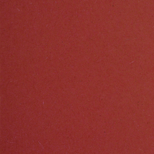 Подвесные папки BRAUBERG, А4, 350х245 мм, до 80 листов, 10 шт., красные, картон фото 5