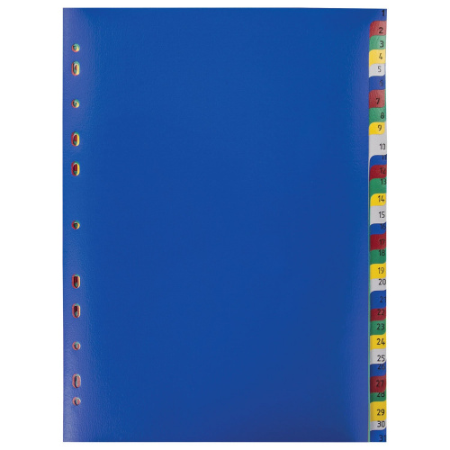 Разделитель пластиковый ОФИСМАГ, А4, 31 лист, цифровой 1-31, оглавление, цветной фото 2