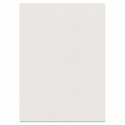 Картон белый BRAUBERG, А2, глянцевый, 10 л., в папке, 400х590 мм фото 3