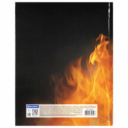 Дневник BRAUBERG "Fire Road", 1-4 класс, 48 л., твердый, глянцевая ламинация, с подсказом фото 3