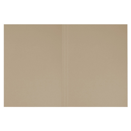 Папка без скоросшивателя BRAUBERG "Дело", картон, плотность 440 г/м2, до 200 л. фото 3
