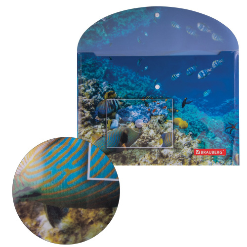 Папка-конверт с кнопкой BRAUBERG "SEA WORLD", А4, 160 мкм, до 100 листов, цветная печать фото 8