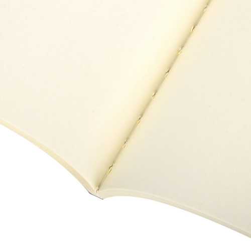 Тетради-скетчбуки BRAUBERG ROMANTIC, 60 л., B5, 179х250 мм, 2 шт., бежевая бумага, сшивка фото 9