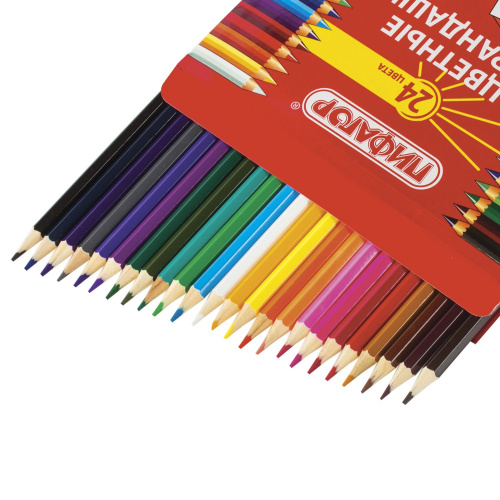 Карандаши цветные ПИФАГОР, 24 цвета, классические, заточенные, картонная упаковка фото 5