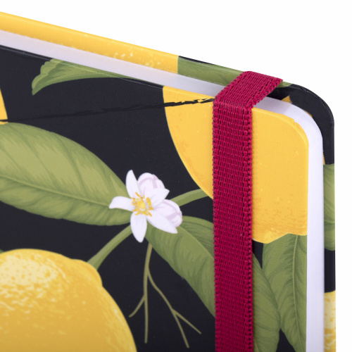 Скетчбук BRAUBERG ART CLASSIC "Лимоны", белая бумага, 145х203 мм, 64 л., резинка, твердый фото 2