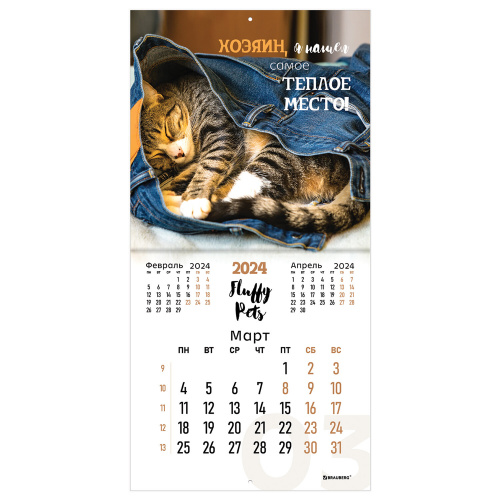 Календарь настенный перекидной на 2024 г., BRAUBERG, 12 листов, 29х29 см, "Кошечки", 115315 фото 6