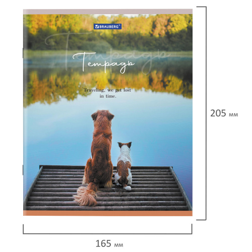 Тетрадь А5 48 л. BRAUBERG скоба, клетка, обложка картон, "Best Friends", 404360 фото 10