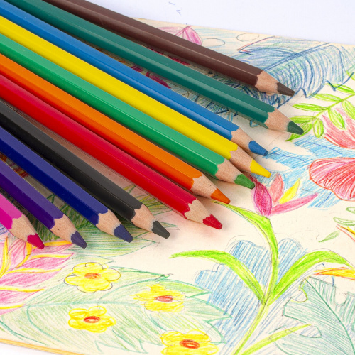Карандаши цветные ПИФАГОР "ЗЕБРА", 12 цветов, утолщенные, пластиковые фото 3