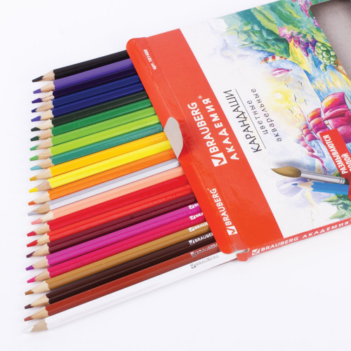Карандаши цветные акварельные BRAUBERG "АКАДЕМИЯ", 24 цвета, шестигранные,высокое качество фото 2