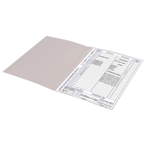 Папка без скоросшивателя BRAUBERG "Дело", картон мелованный, плотность 280 г/м2, до 200 л. фото 6