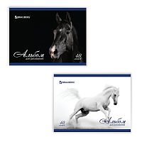 Альбом для рисования BRAUBERG "Благородные кони", А4, 40 л., 200х283 мм, скоба, обложка картон