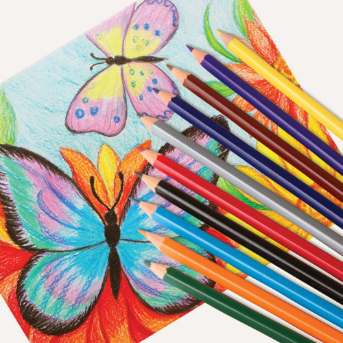 Карандаши цветные ПИФАГОР "ЛЕСНЫЕ ЖИТЕЛИ", 24 цвета, пластиковые, классические заточенные фото 6