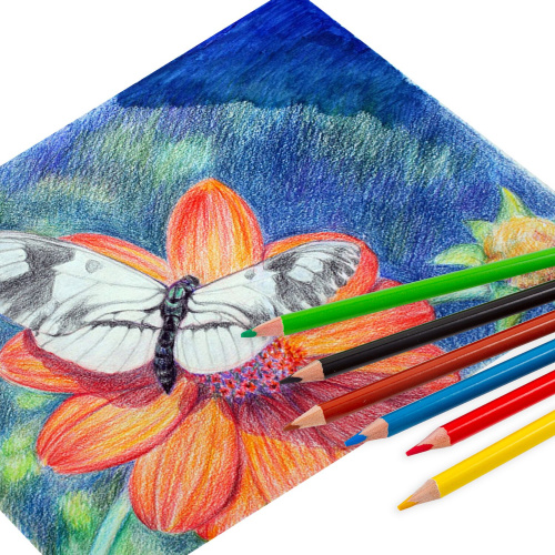 Карандаши цветные акварельные BRAUBERG PREMIUM AQUARELLE, 6 цветов, грифель мягкий 4 мм фото 3