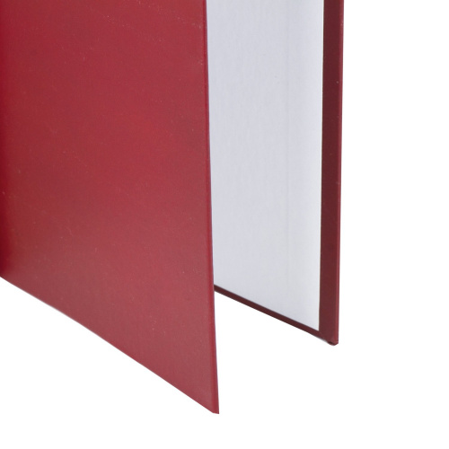 Папка-обложка для дипломного проекта STAFF, А4, 215х305 мм, фольга, 3 отверстия под дырокол, бордов фото 6